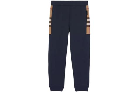 burberry blue pinstripe pants|burberry check panel pants.